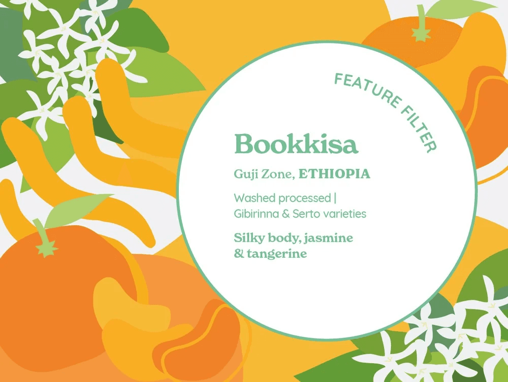 Image of Feature Filter Bookkisa