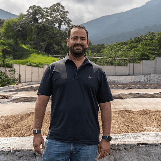 Image of El Martillo Extended Washed - Apaneca-Ilamatepec