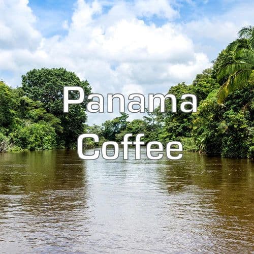 Image of Panama Coffee