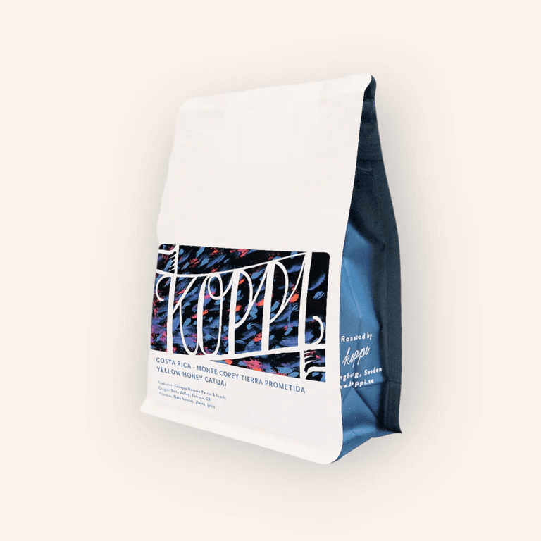 Image of Monte Copey Tierra Prometida Costa Rica