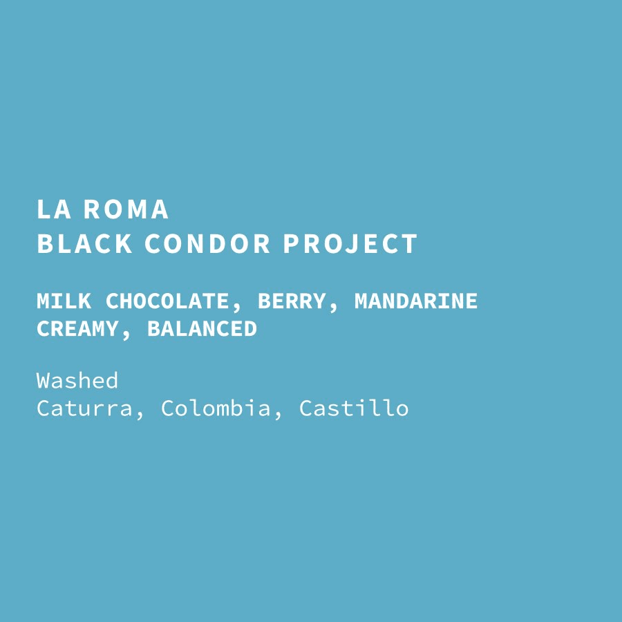 Image of Colombia Black Condor