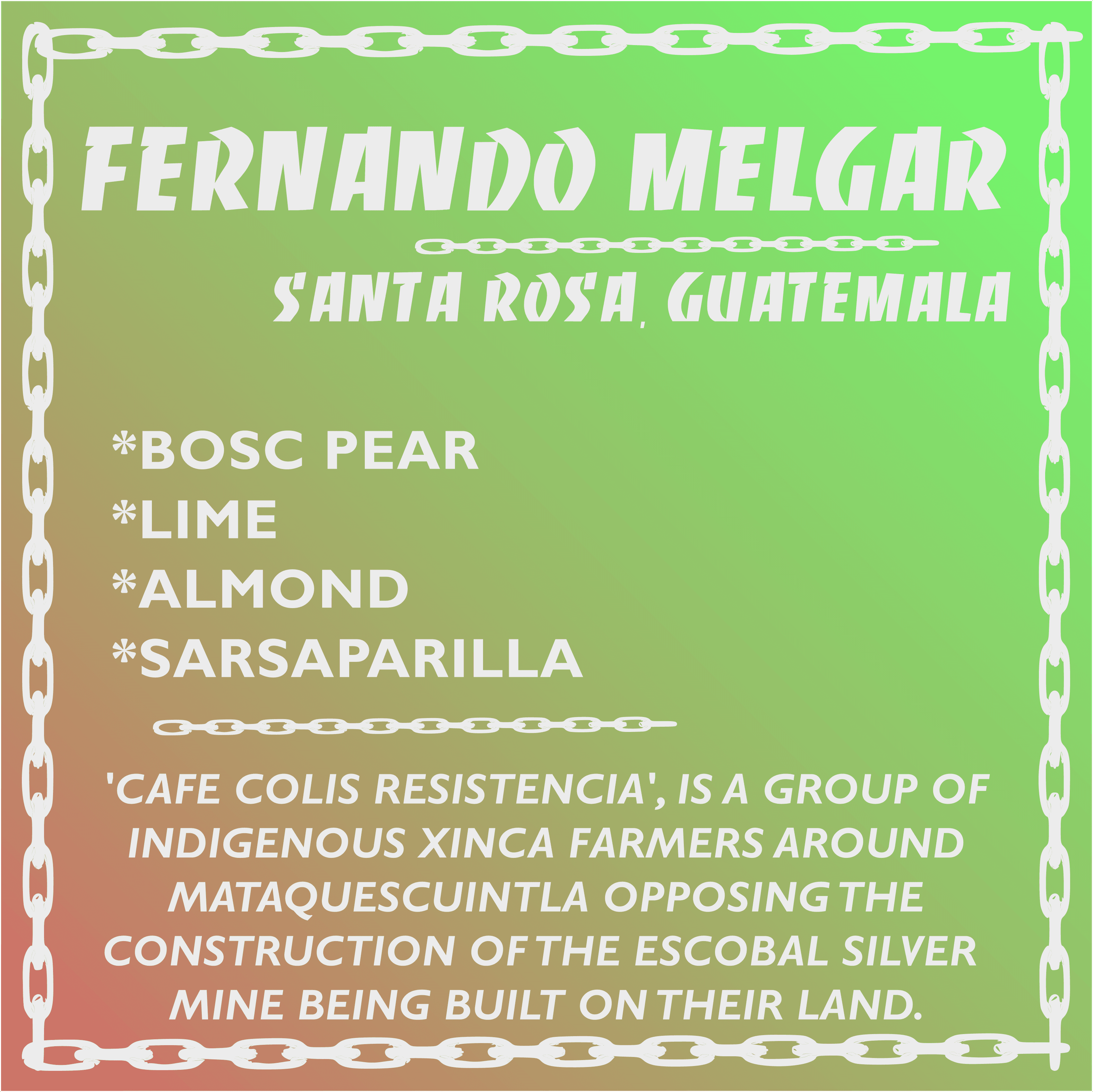 Image of Fernando Melgar - Washed