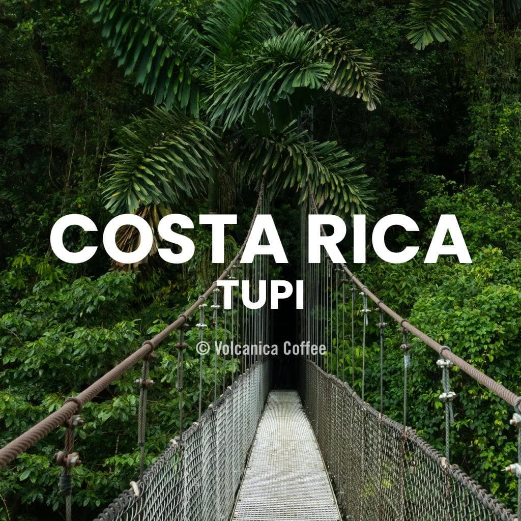 Image of Costa Rica Tupi Coffee