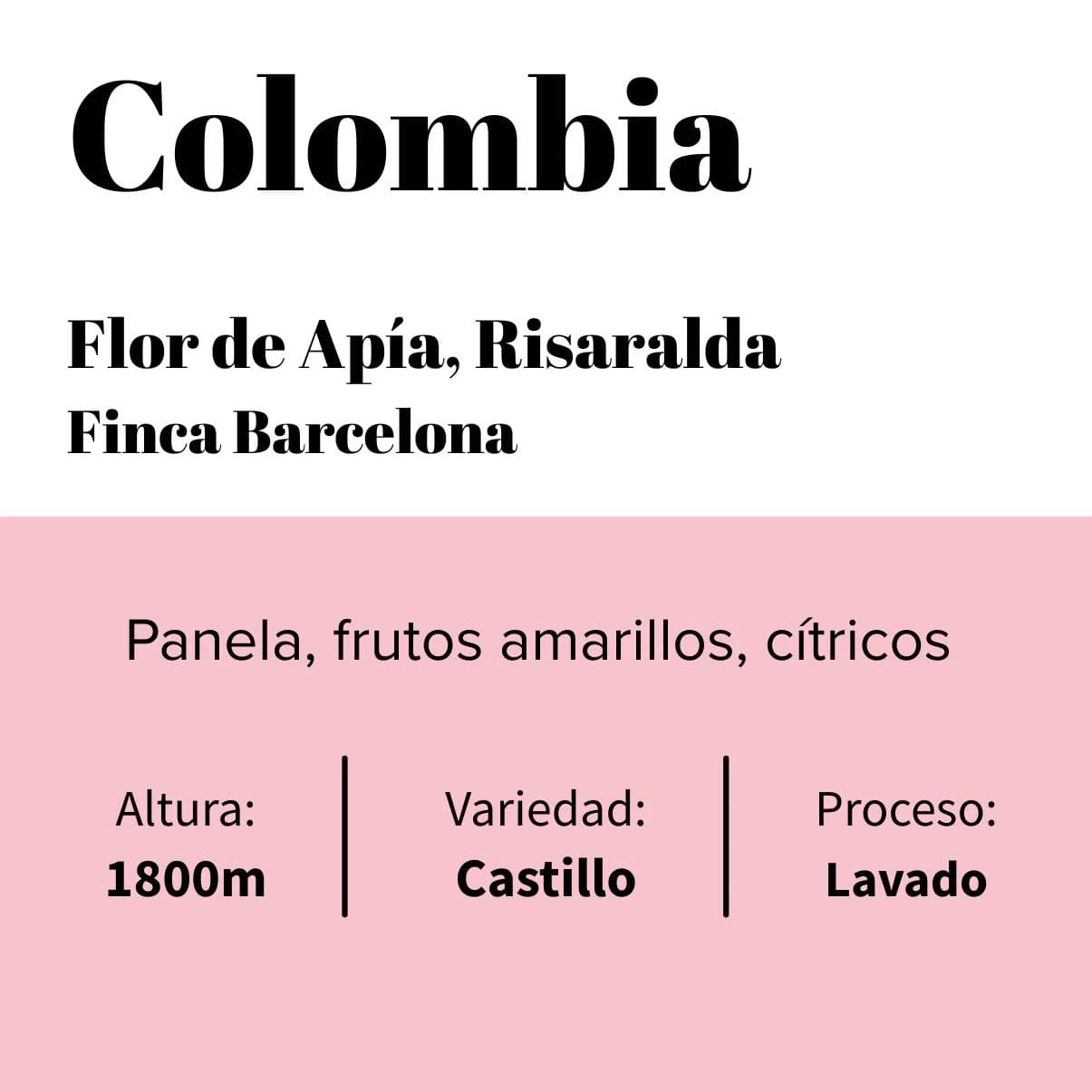 Image of Colombia - Apia - Risaralda - Finca Barcelona - Lavado