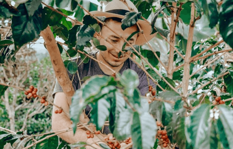 Image of Diego Bermudez Washed 