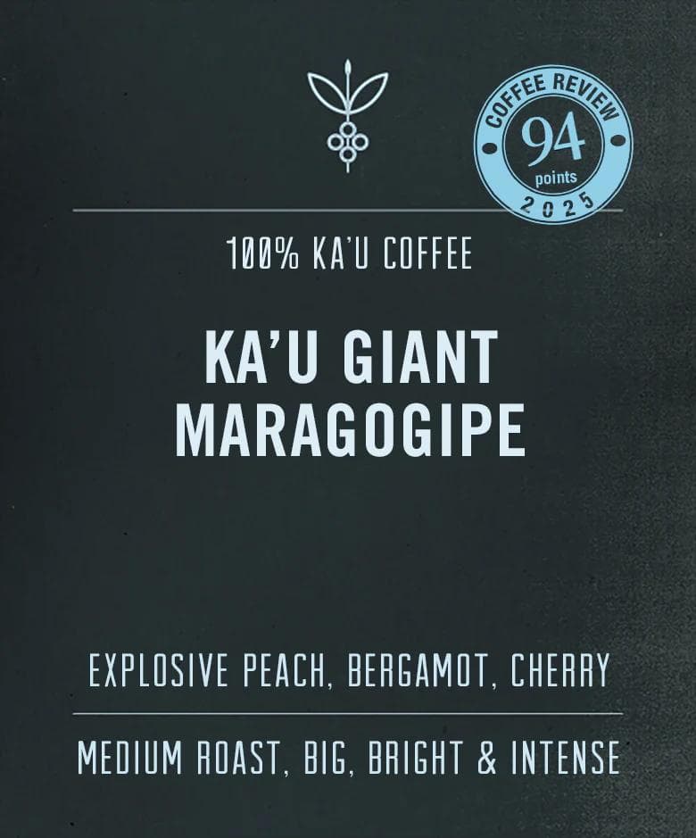 Image of Kau Maragogipe Giant Elephant Bean