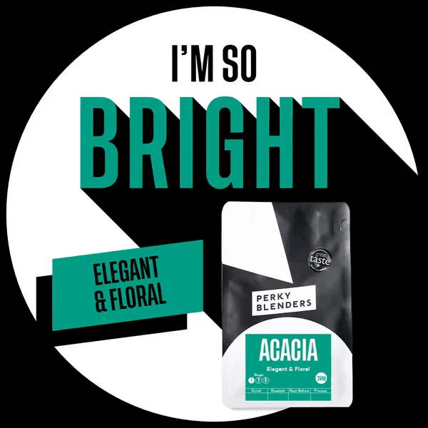 Image of Acacia Blend