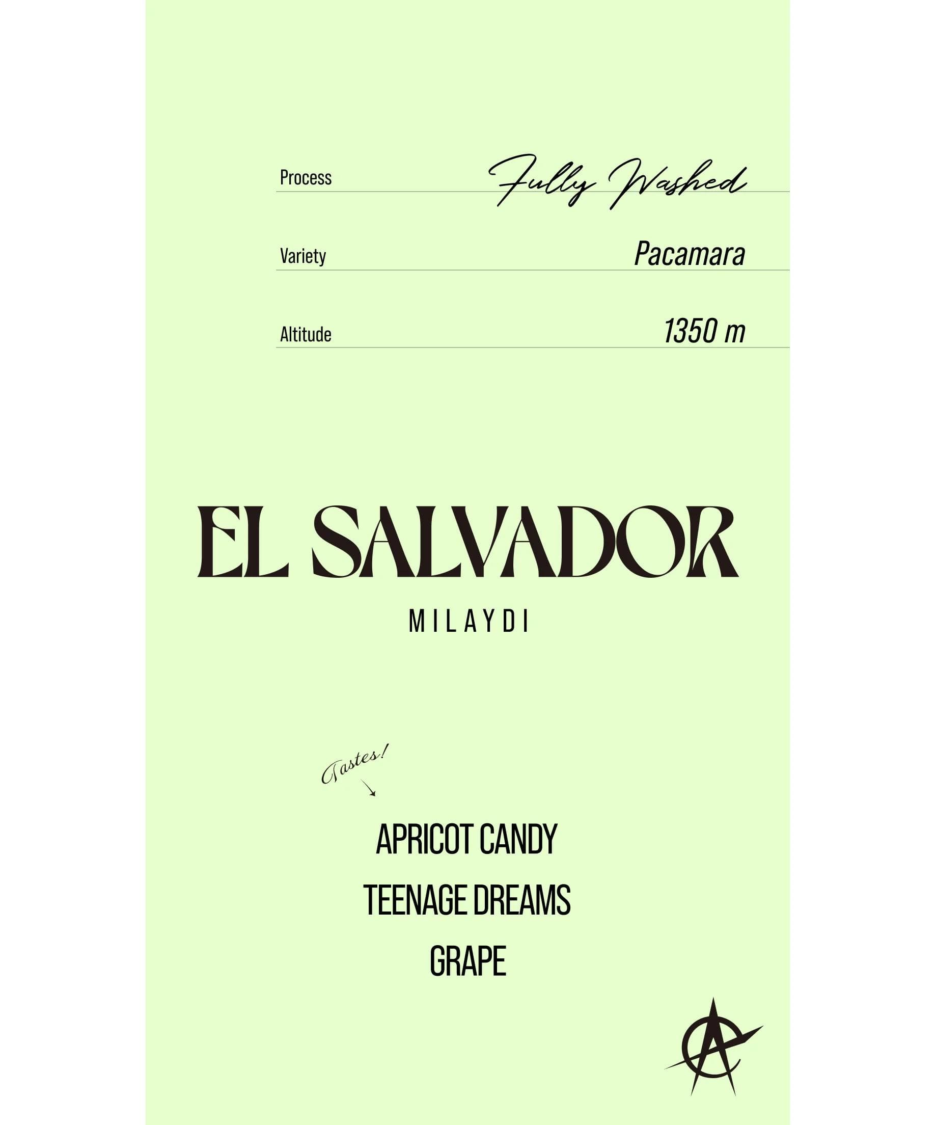 Image of El Salvador Milaydi, Pacamara - Fully Washed