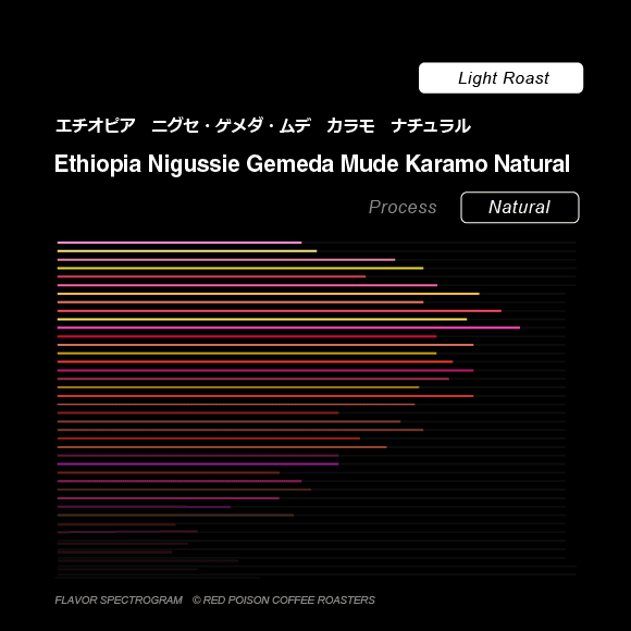 Image of Nigussie Gemeda Mude Karamo Natural