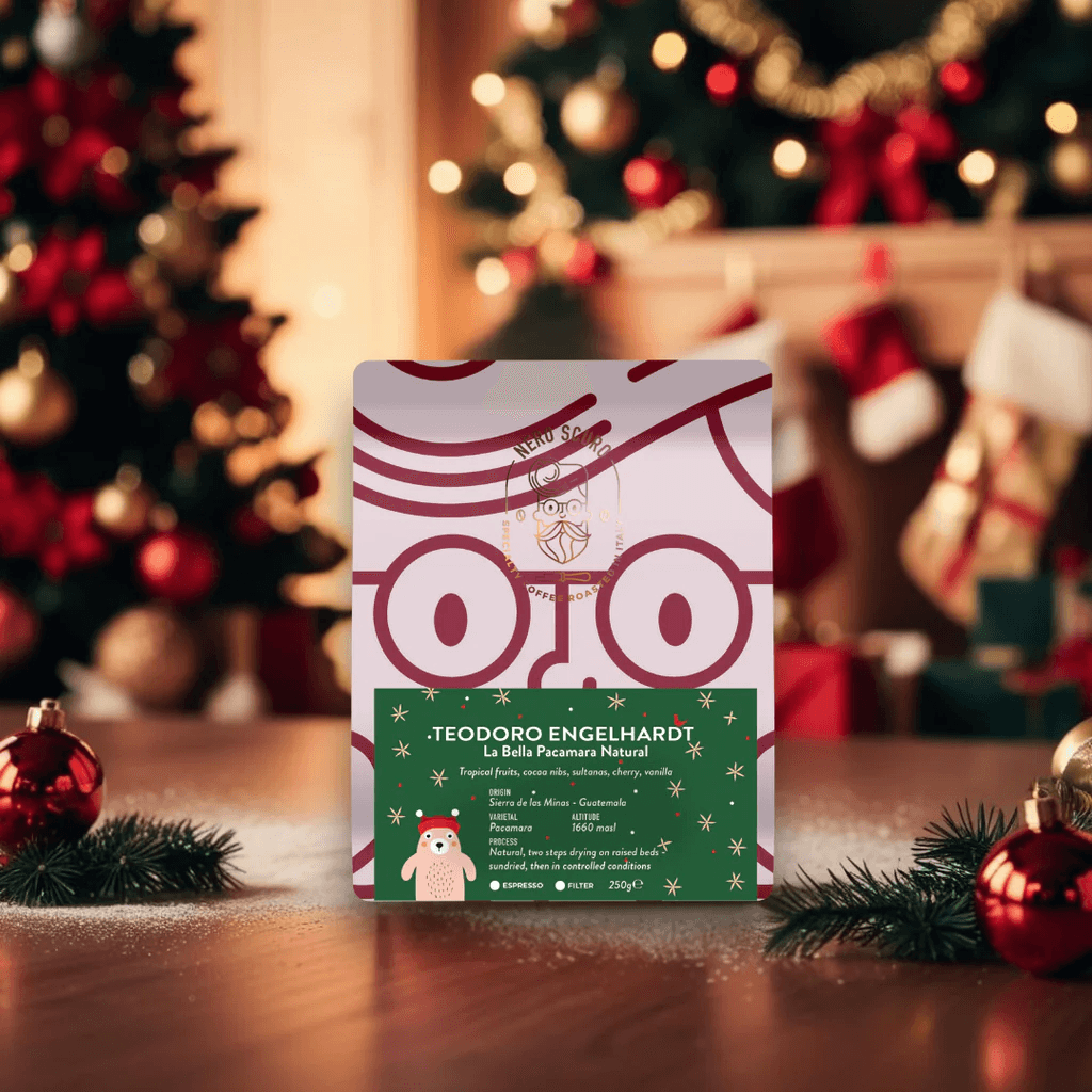 Image of Teodoro Engelhardt 