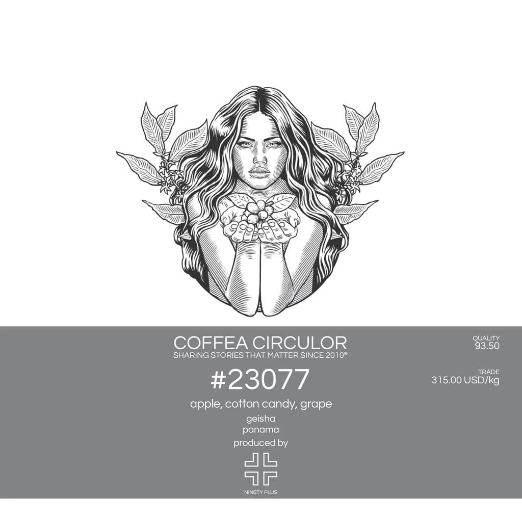 Image of PANAMA Ninety Plus #23077 Gesha NCYX