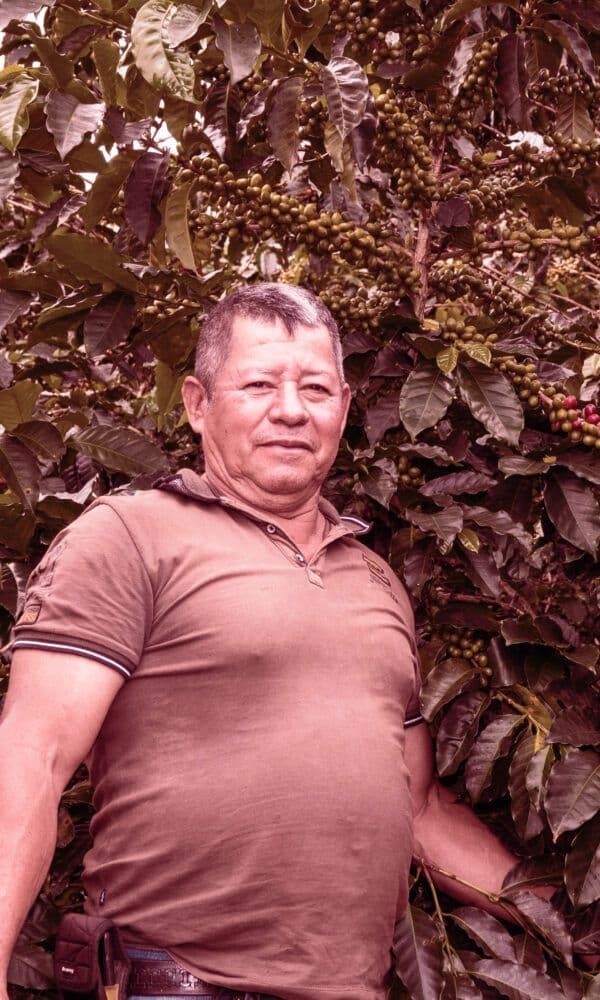 Image of La Esmeralda