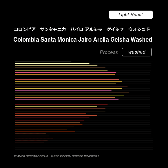 Image of Santa Monica Jairo Arcila Geisha Washed