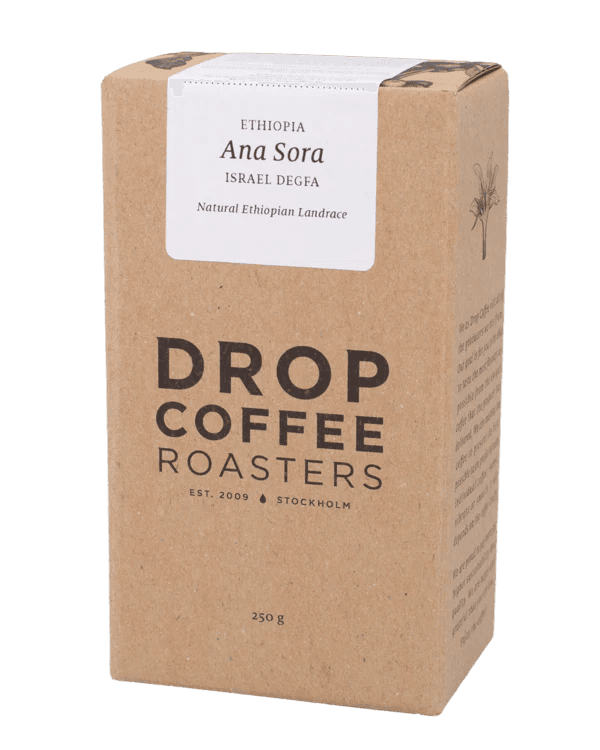 Image of Ana Sora Ethiopia