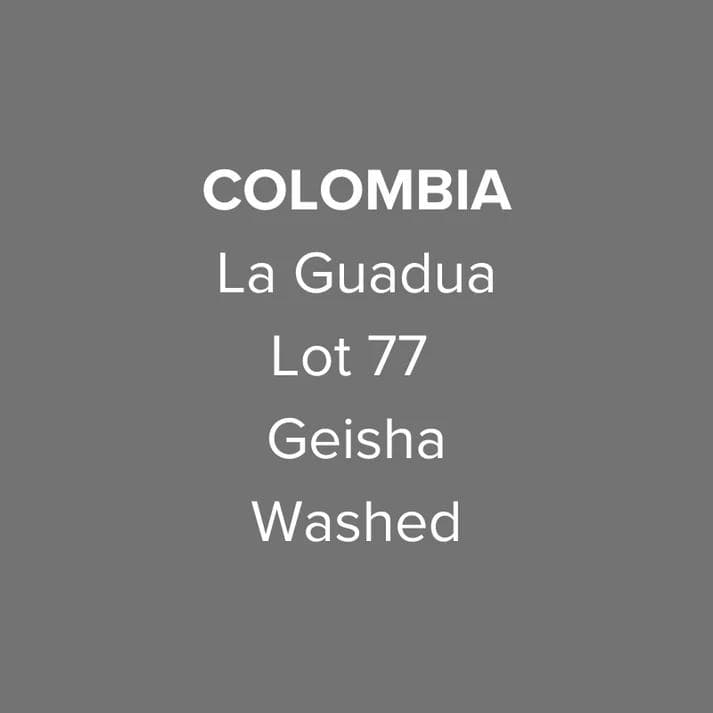 Image of Colombia La Guadua Geisha Washed Lot 77
