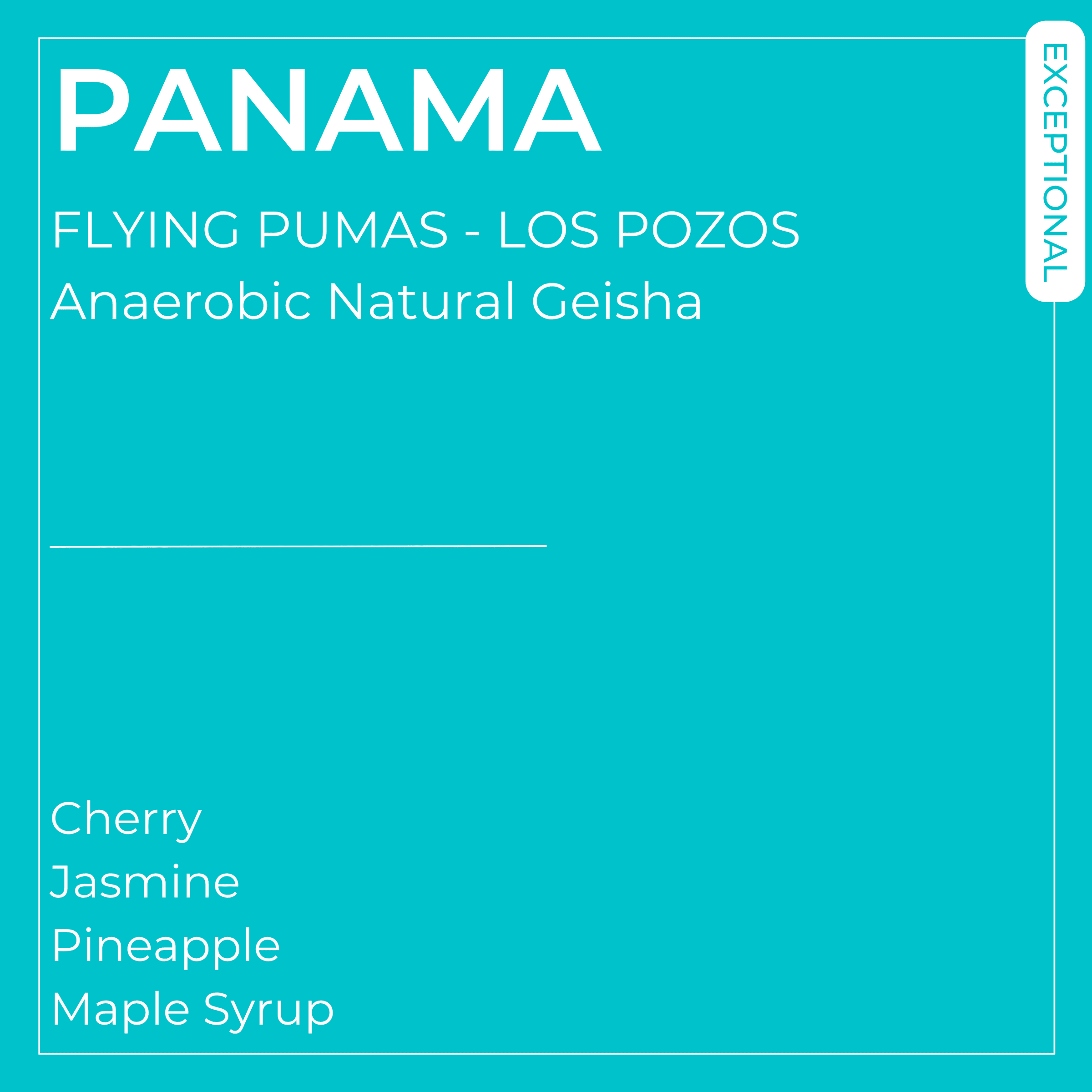 Image of Flying Pumas Los Pozos Jaguar 16 1  Anaerobic Natural Geisha