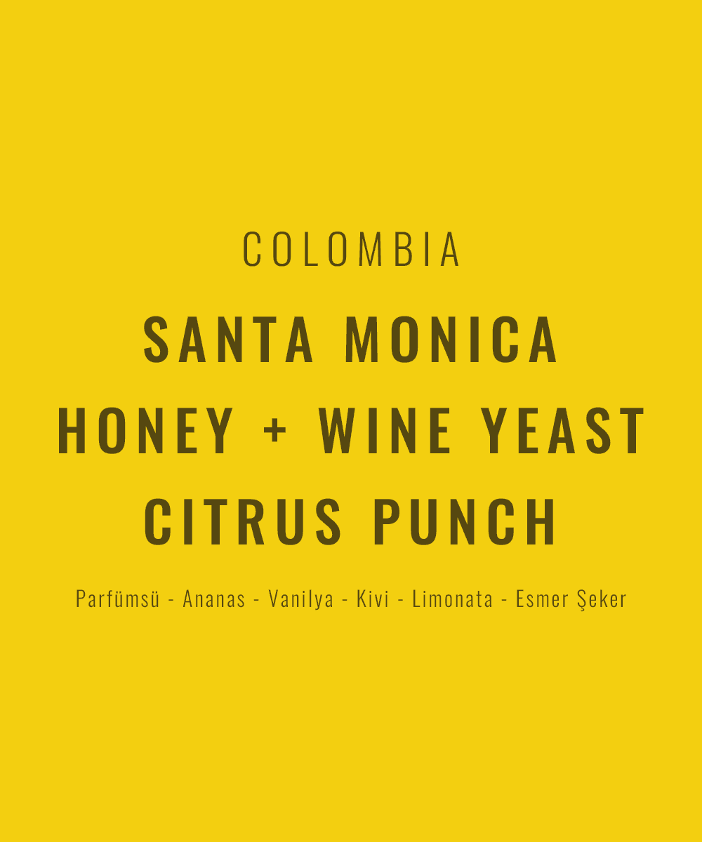 Image of Colombia -Santa Monica Honey Wine Yeast Citrus Punch