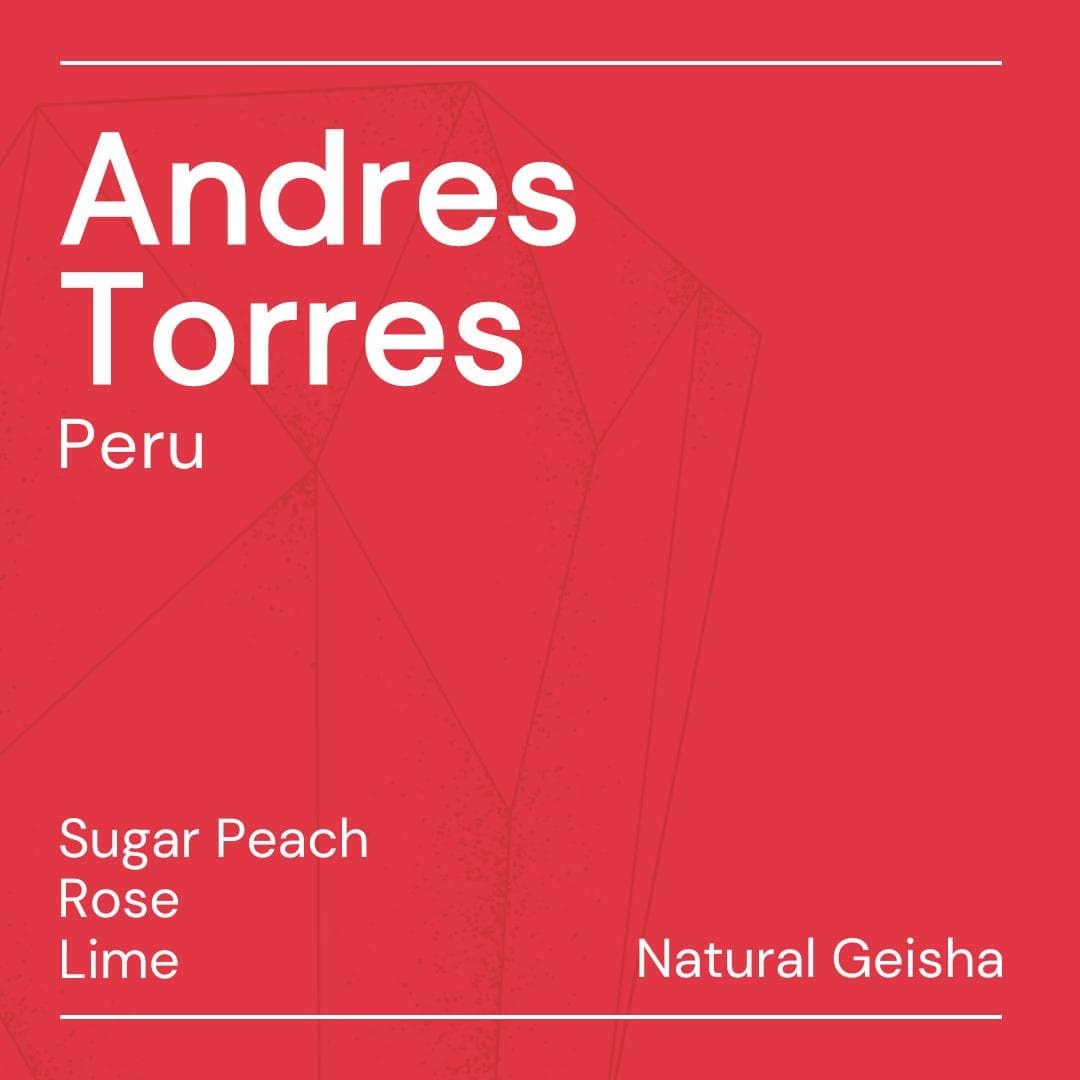Image of Andrès Torres Geisha