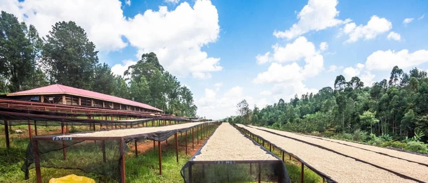 Image of Kenya Kevote