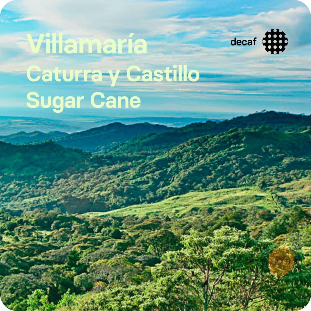 Image of Villamaria Decaf Colombia