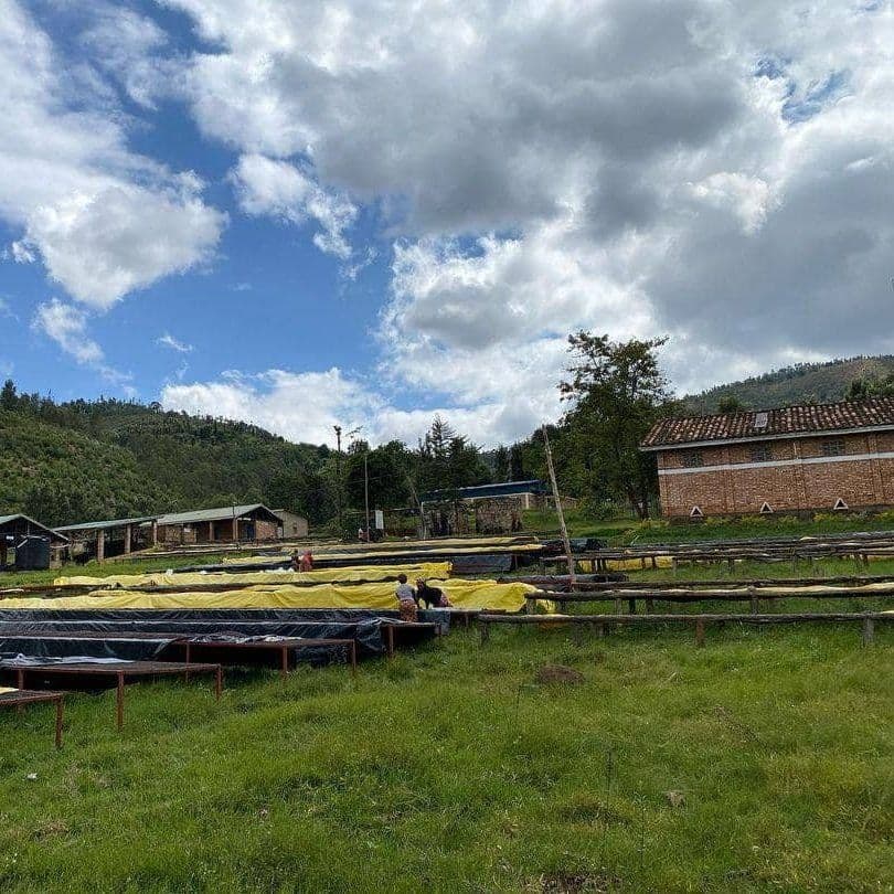 Image of Emmanuel Rusatira - Anaerobic Natural Lot RW