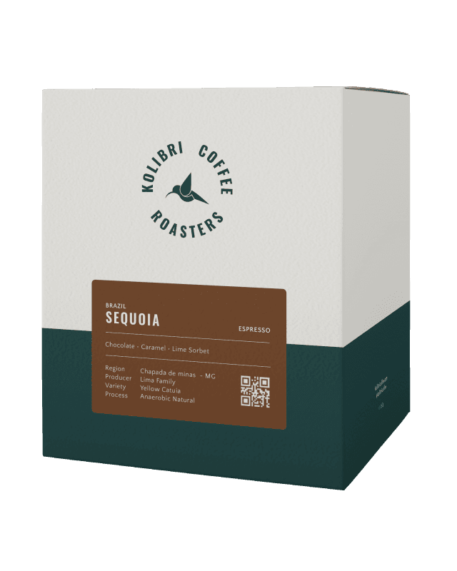 Image of Brazil Sequoia