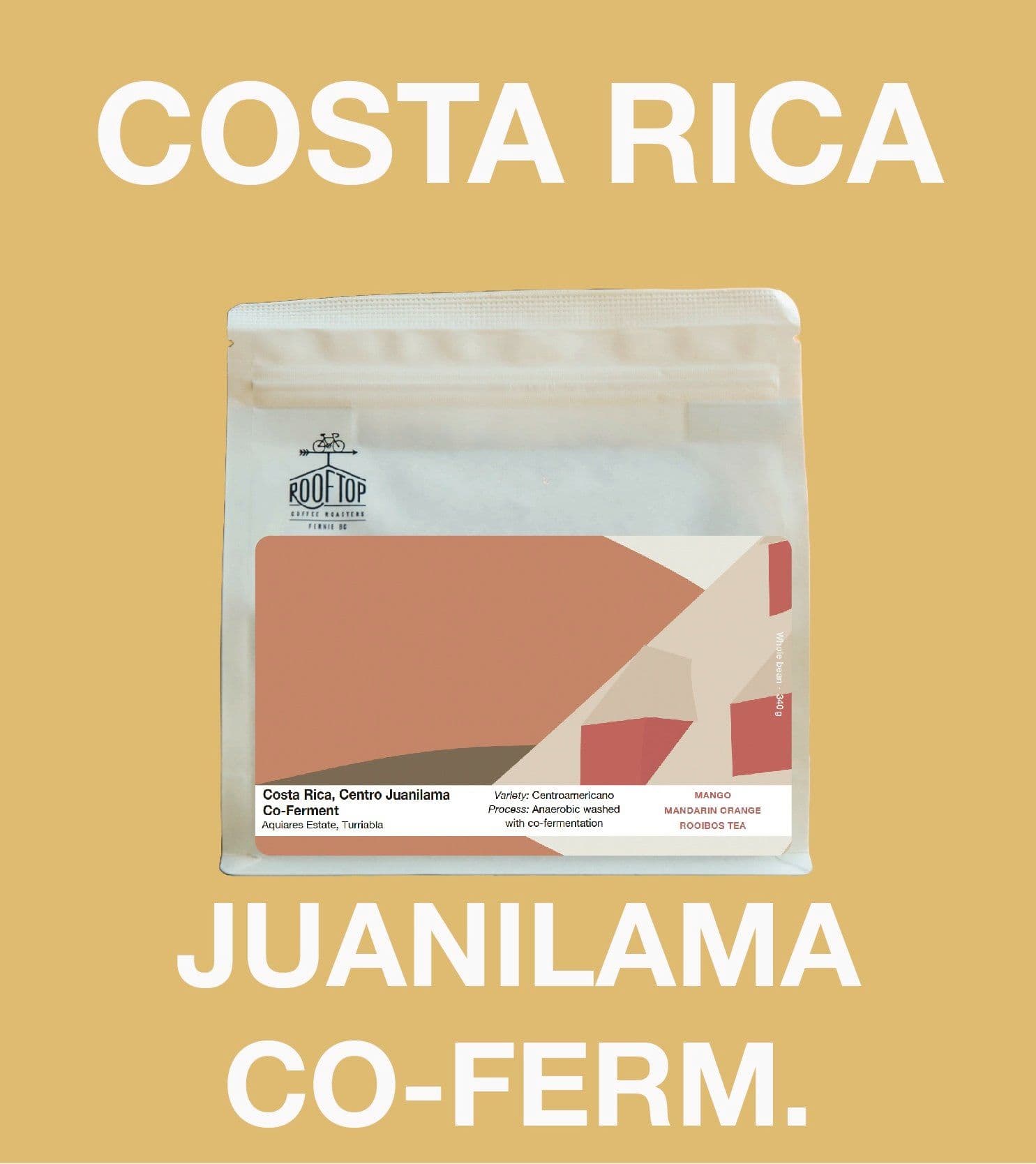 Image of Costa Rica, Centroamericano Juanilama Co-Ferment