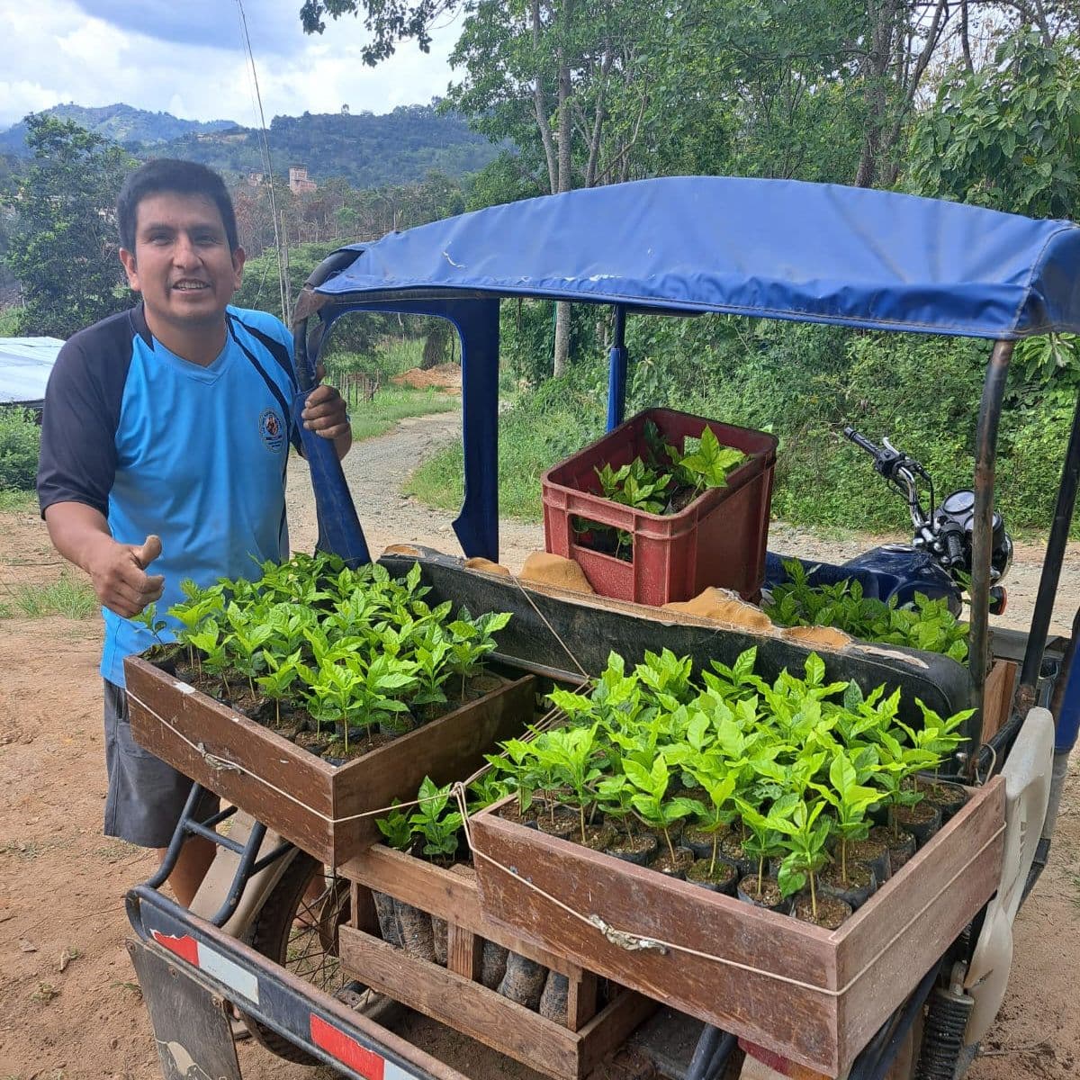 Image of Los Amigos Del Oso