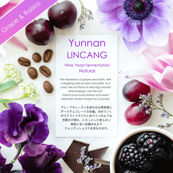 Image of Lincang Wine Yeast Fermentation Natural