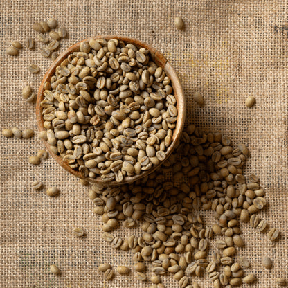 Image of Ethiopia Nigat Family