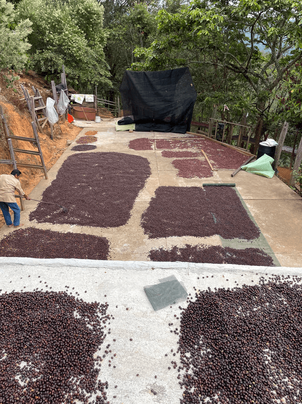 Image of The Foundations - Castle - Natural - Guerrero