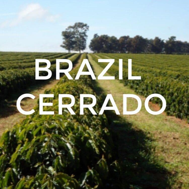 Image of Brazil Cerrado