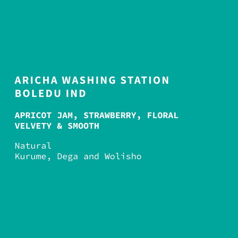 Image of Ethiopia Boledu Aricha