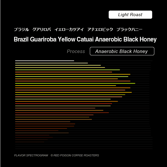 Image of Guariroba Yellow Catuai Anaerobic Black Honey