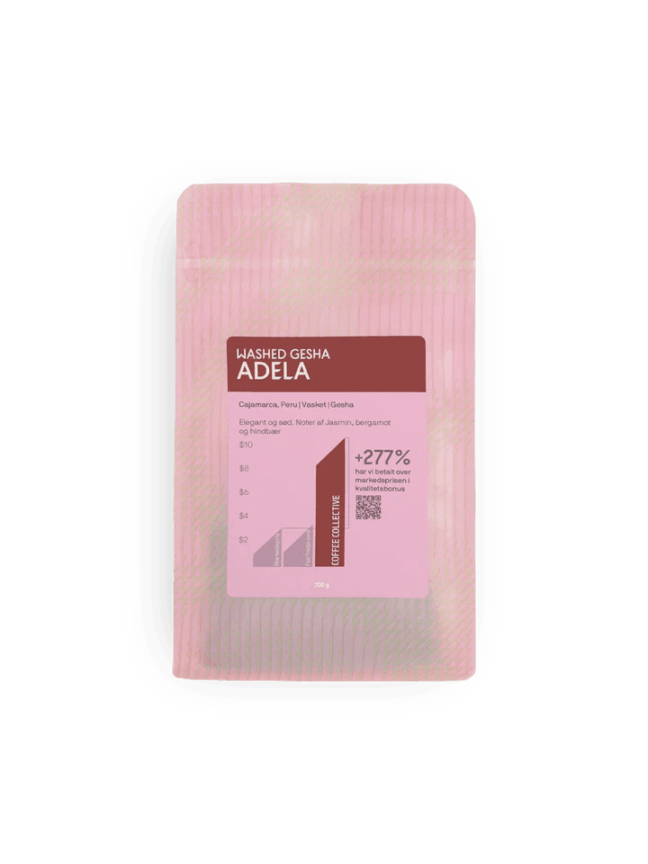 Image of Adela Gesha