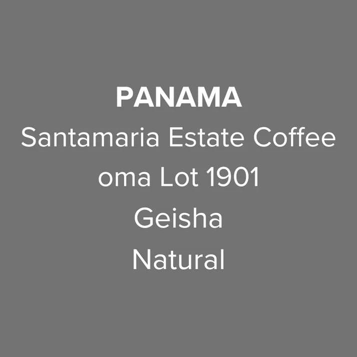 Image of Panama Santamaria Geisha Natural oma Lot 1901