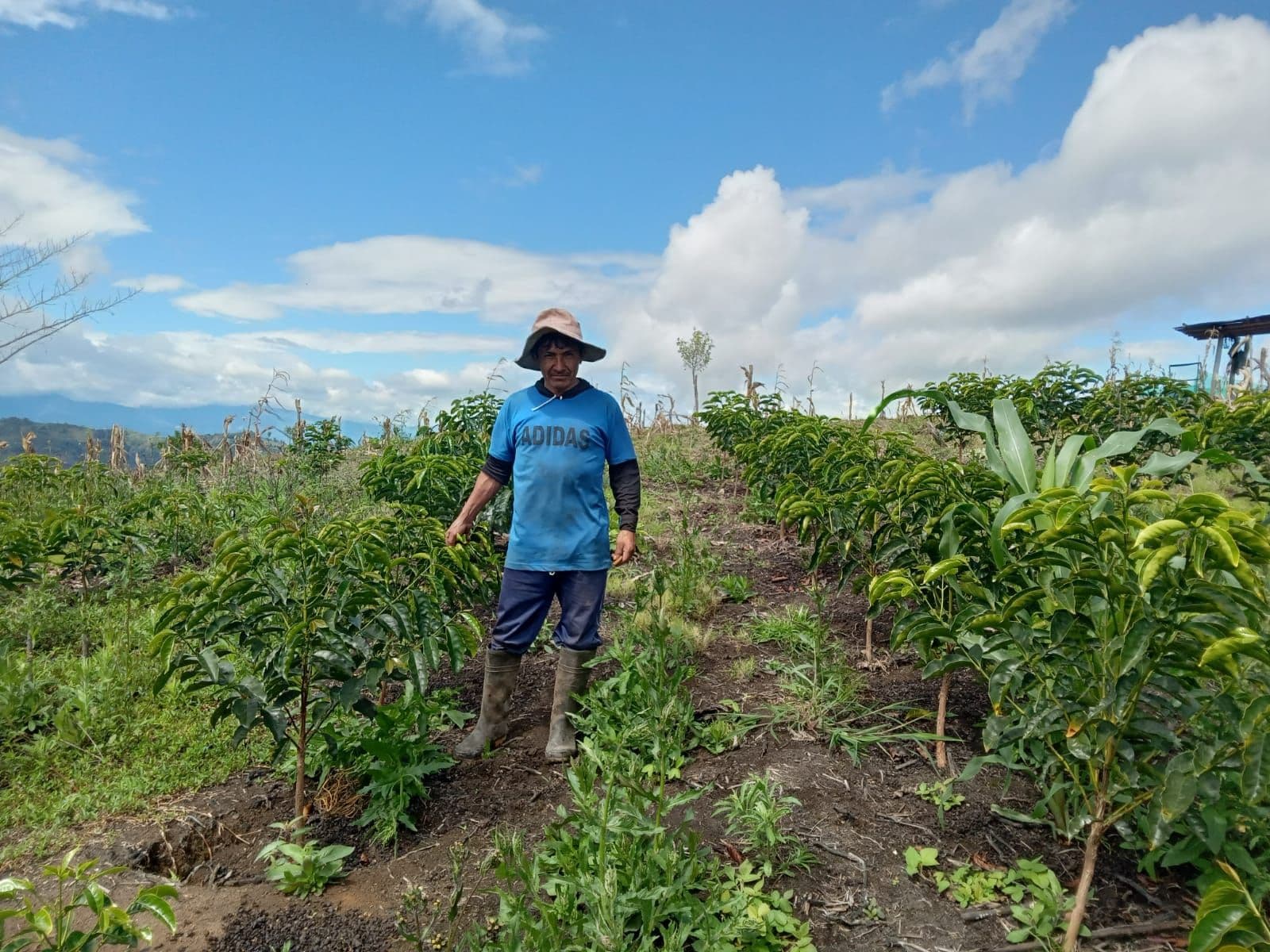 Image of Peru El Roble