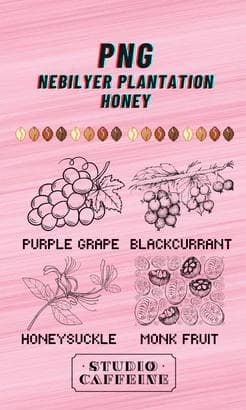 Image of PNG Nebilyer Plantation Honey