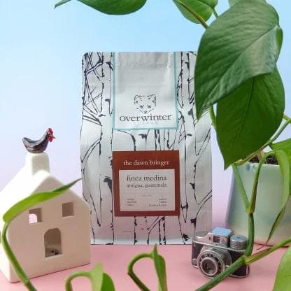 Image of The Dawn Bringer