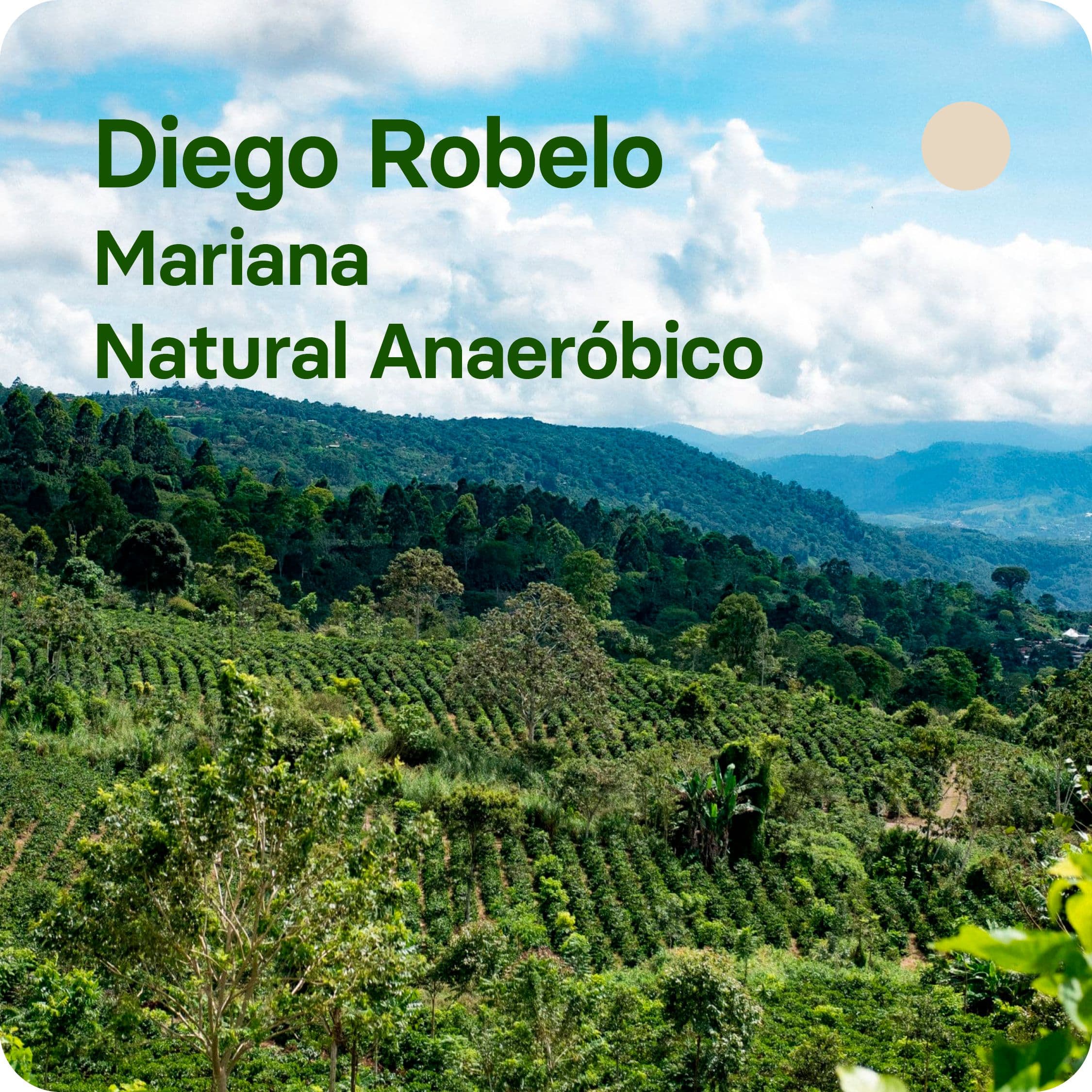 Image of Diego Robelo Costa Rica