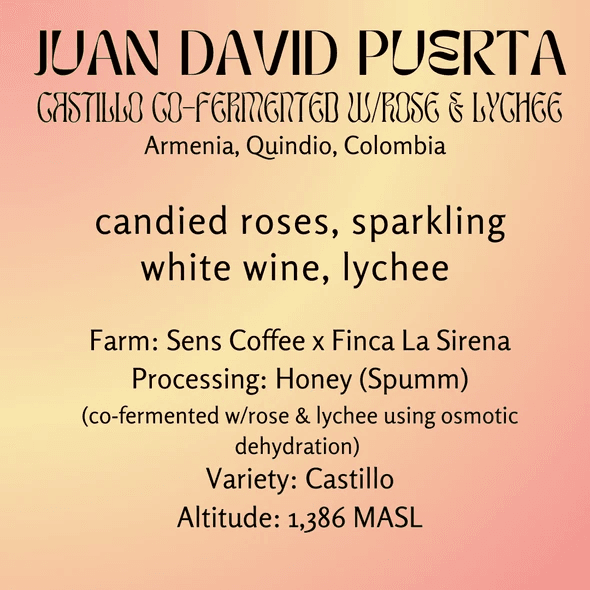 Image of Juan David Puerta Castillo Spumm - Colombia