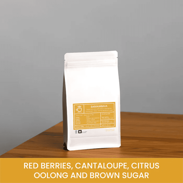 Image of Samambaia - Brazil