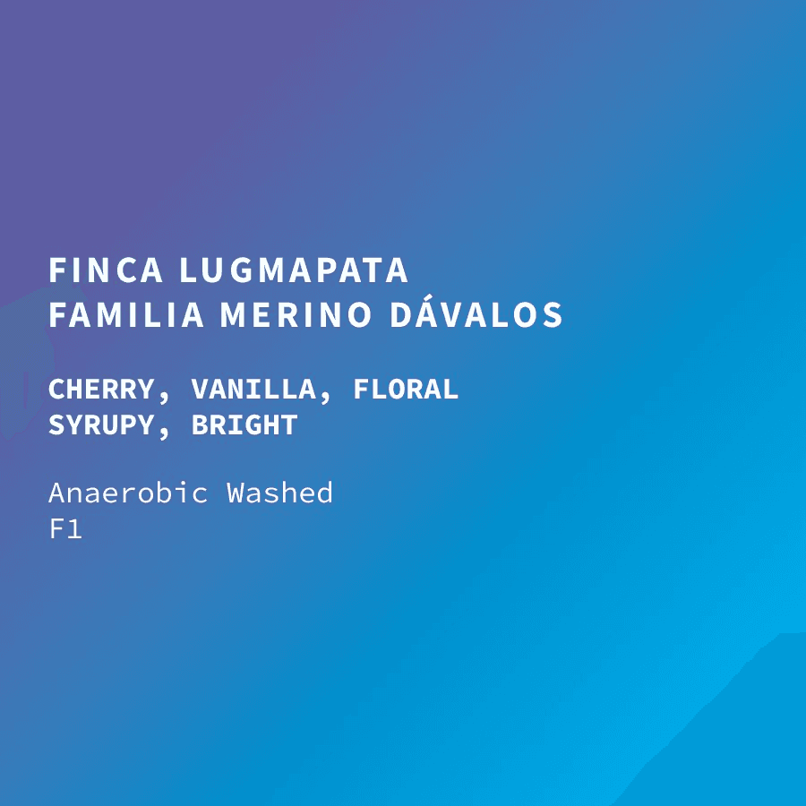 Image of Ecuador Cup of Excellence 6