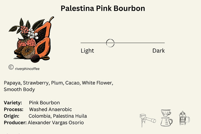 Image of Palestina Pink Bourbon