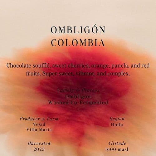 Image of Ombligon Washed Co-fermented Colombia