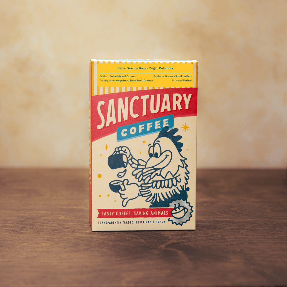 Image of Session Brew