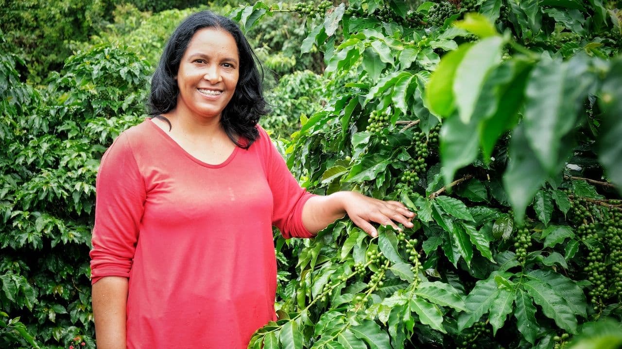 Image of Brazil Sítio Vista Alegre