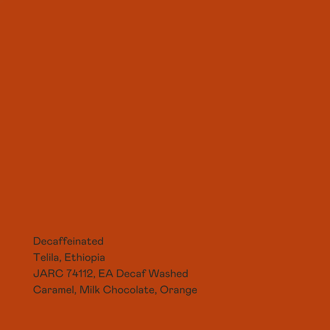 Image of Decaffeinated - Telila EA Decaf Washed