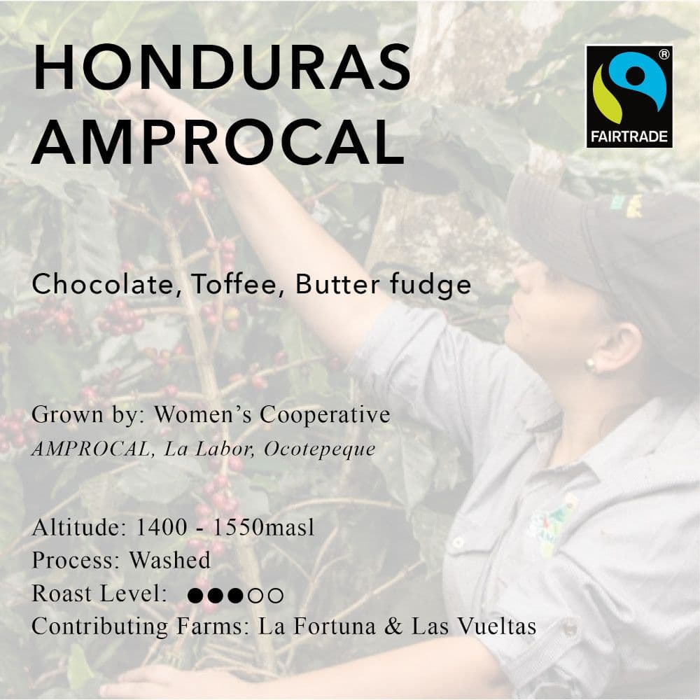 Image of Honduras Diosa De La Tierra