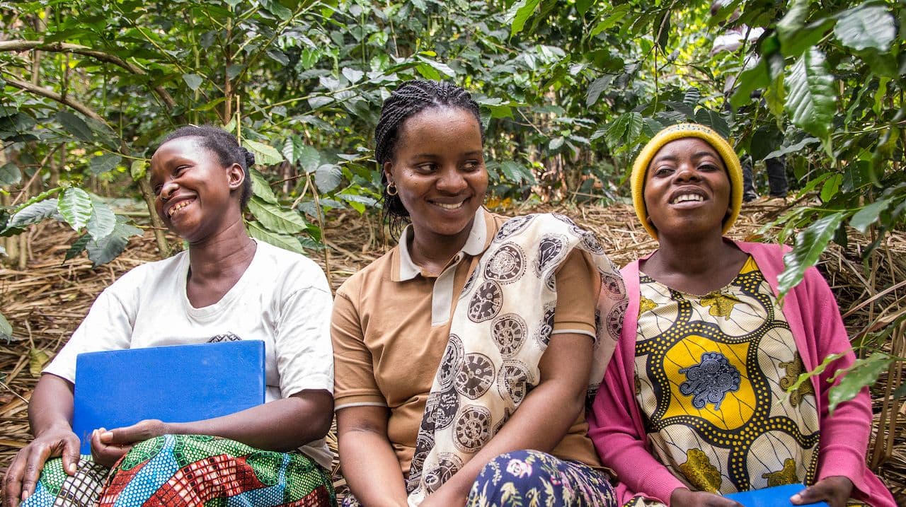 Image of Brazil Vista Alegre & DR Congo Mapendo